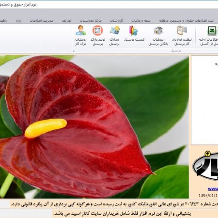 نرم افزار حقوق و دستمزد کاناز